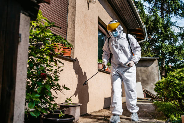 Best Residential Pest Control  in Reed City, MI