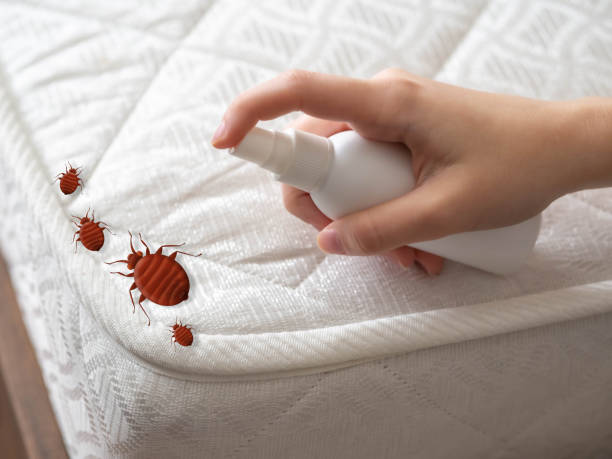 Best Pest Prevention Services  in Reed City, MI